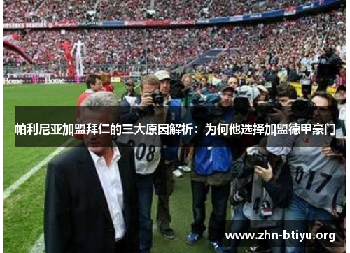帕利尼亚加盟拜仁的三大原因解析:为何他选择加盟德甲豪门 帕利尼亚加盟拜仁的三大原因解析:为何他选择加盟德甲豪门